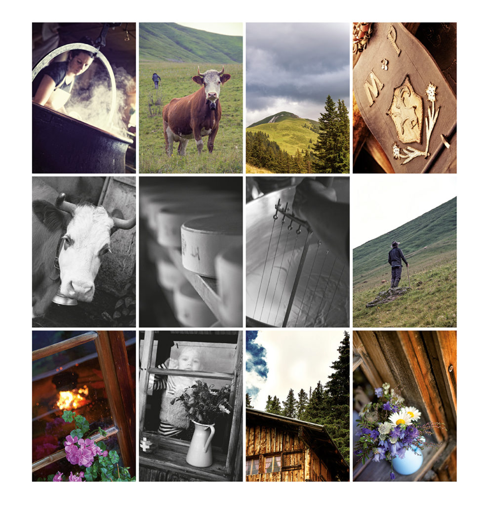 Alpsommer, Ausstellung Galerie TALWEGEINS