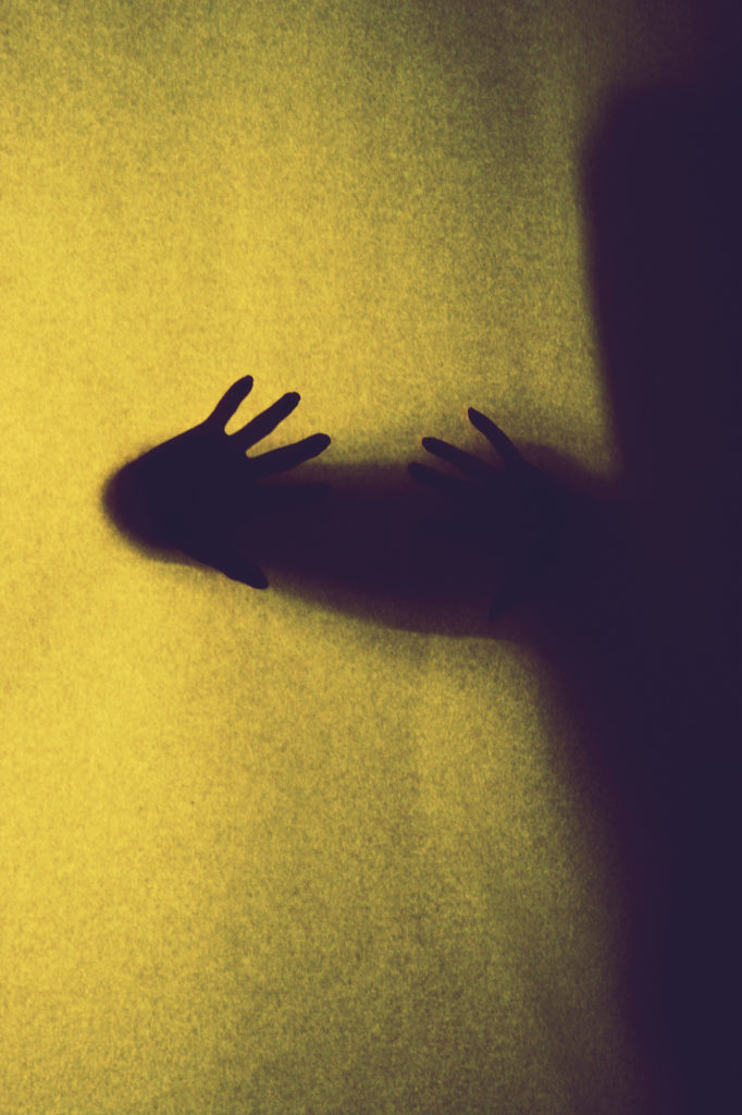 Staged Photography Wyler media